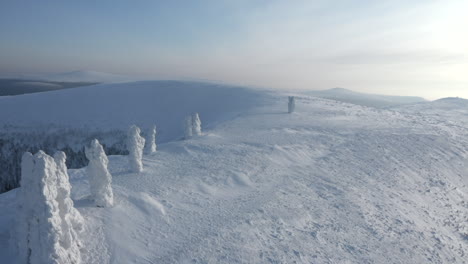 winter mountain landscape with frozen trees