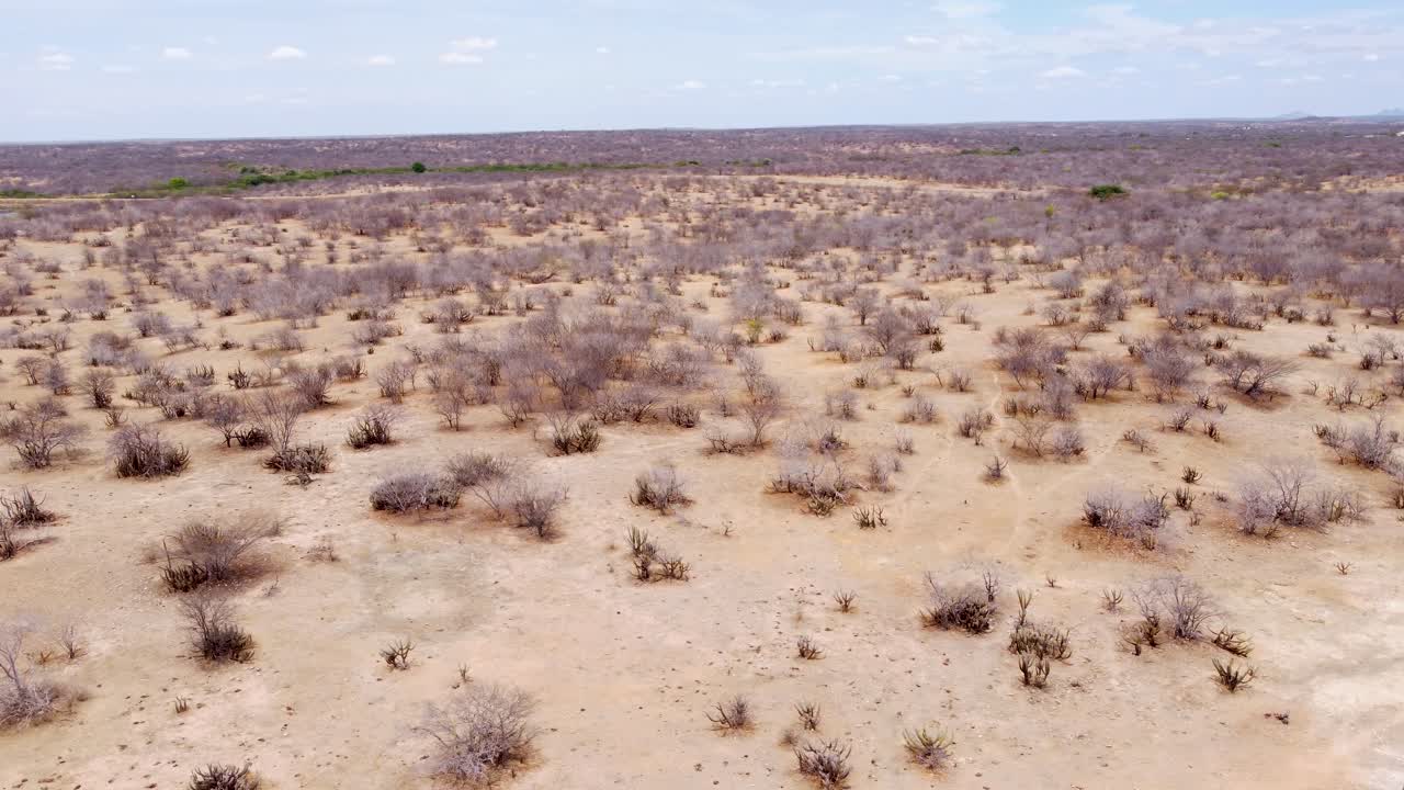 Riprese con drone della regione della Caatinga a Petrolina, Pernambuco, Brasile