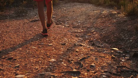 person hiking on a trail at sunset