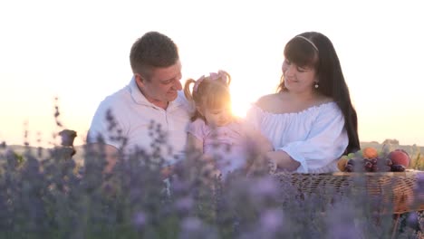 a beautiful young family with a child rests on a lavender field a beautiful young family with a child rests on a lavender field a happy family video