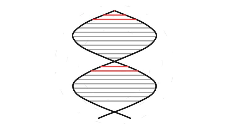 Animated DNA Helix Structure Rotating on White Background