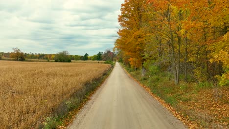 Siguiendo-Hacia-Adelante-Por-Un-Camino-De-Tierra-Lleno-De-Baches-En-Otoño