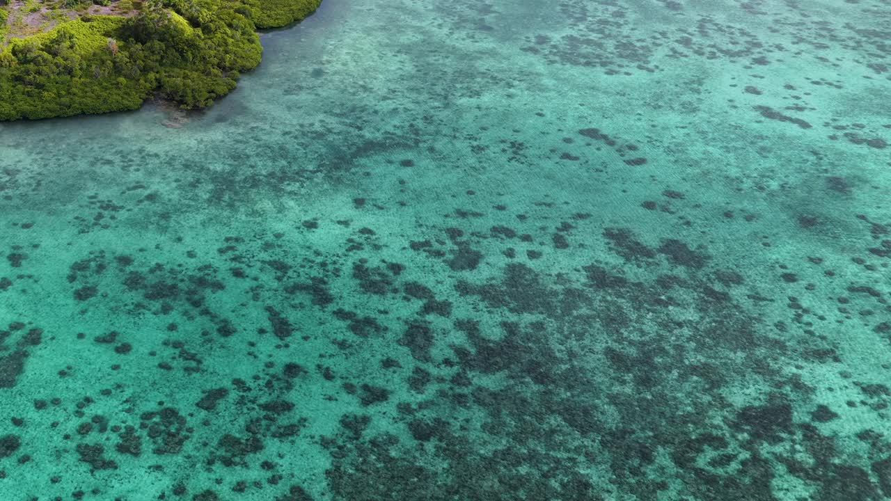 Høytflyvende droneskudd avslører levende korallformasjoner under klart turkist havvann i Palau