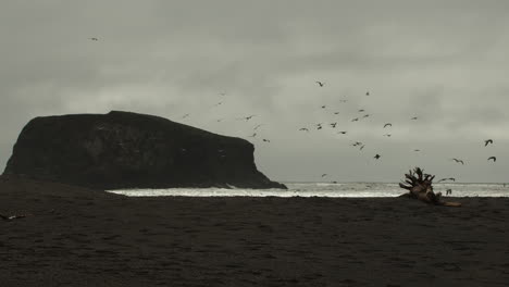 Slow-motion-extreme-wide-shot-of-a-flock-of-seagulls-flying-in-the-air