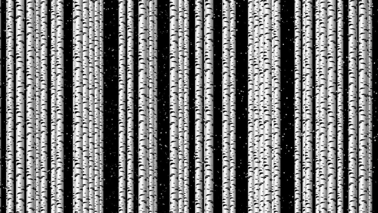 Birch trunks. Trees move slowly from right to left. The illusion of a birch forest.