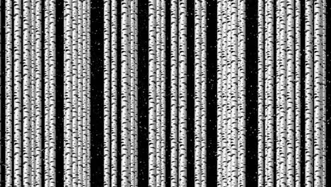 birch trunks. trees move slowly from right to left. the illusion of a birch forest.