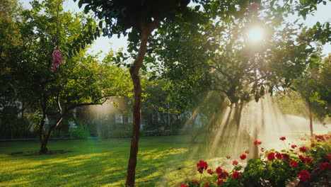 Die-Sonnenstrahlen-Erhellen-Einen-Kleinen-Garten-Mit-Obstbäumen-Und-Blumen,-In-Dem-Das-Bewässerungssystem