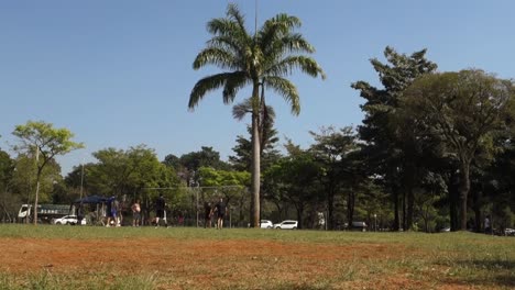 middle-aged men playing badminton in ibirapuera park. vehicle traffic in the background