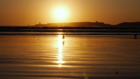 sunset at the beach with incoming waves, an island with mosque in the background, in essaouira, morocco. calm atmospheric background footage. slow-motion.