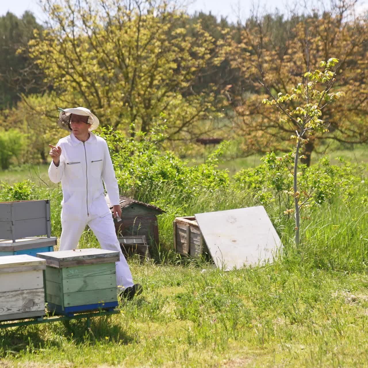 Apiarist in protective outfit walks among his beehives. Focused man counting and thinking over something at apiary. Nature backdrop