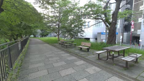 tokyo sotobori park early morning 2022