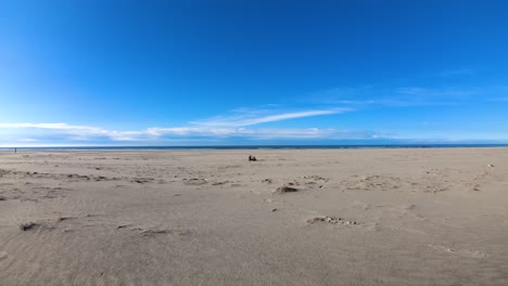 Gold-sand-at-the-beach-cinematic