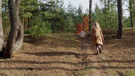 a middle-aged woman walks with a dog in the autumn forest