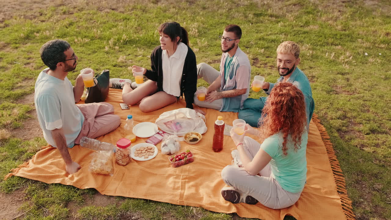 친구 들 이 공원 에서 피크닉 을 즐기고 있다
