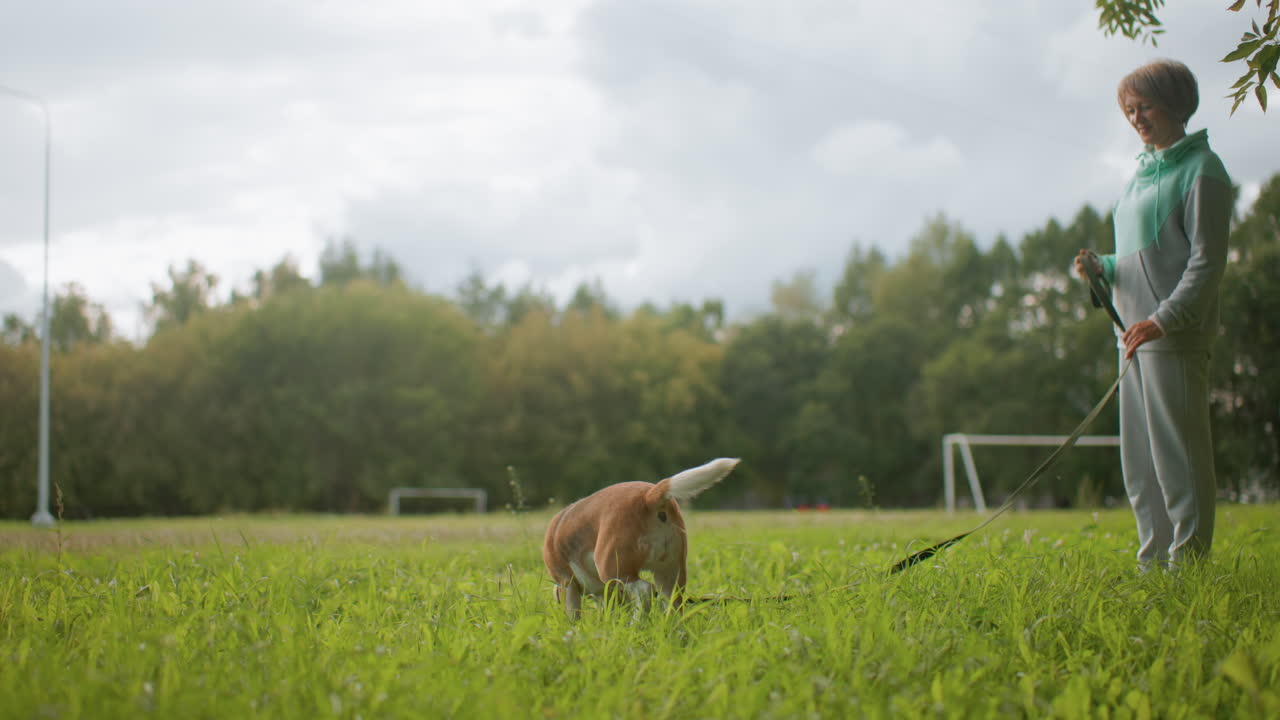 Canine behaviourist standing attentively on lush field observing dog sniffing grass while holding leash surrounded by soccer goalposts, tall green trees, creating peaceful natural atmosphere