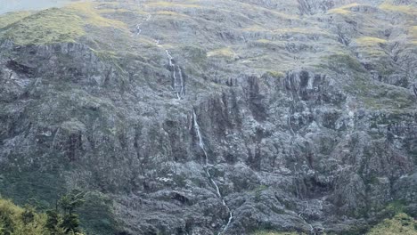 rugged rock wall with waterfalls towering above coniferous trees in new zealand