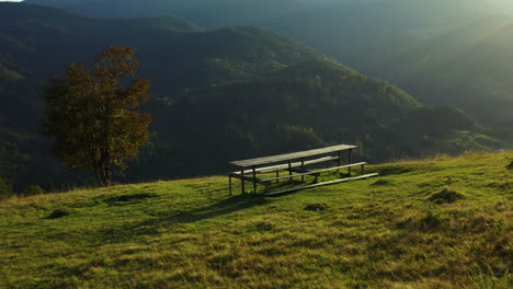 a bench in the mountains with spruce forest against blue sky