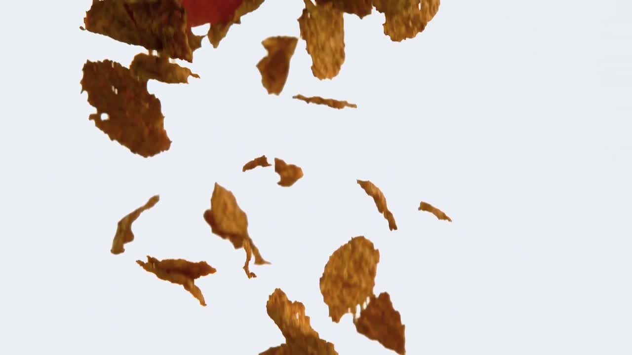 Corn flakes and strawberries falling against white background 4k