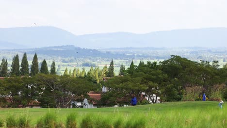 group of gardeners maintaining a lush green landscape.