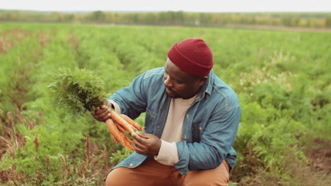 Black-Farmer-Checking-Freshly-Picked-Carrots-on-Field