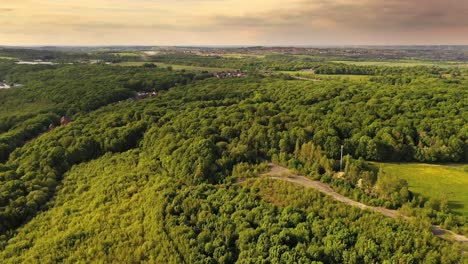 Drohnenaufnahme-über-Einem-Wunderschönen-Grünen-Wald-Auf-Dem-Land-Des-Vereinigten-Königreichs