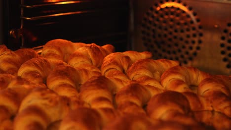 Bandeja-Llena-De-Croissants-Listos-Para-Ser-Horneados-En-Un-Horno-Caliente