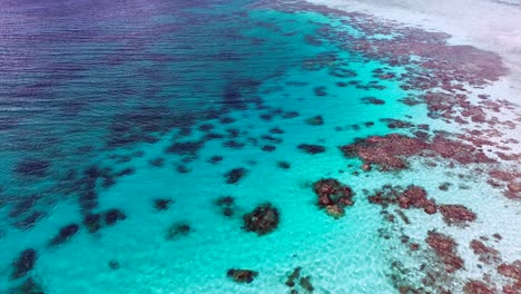 exposed corals during low tide in the philippine reef