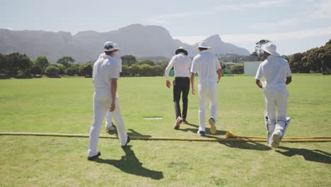 rear view of cricket players walking on a pitch