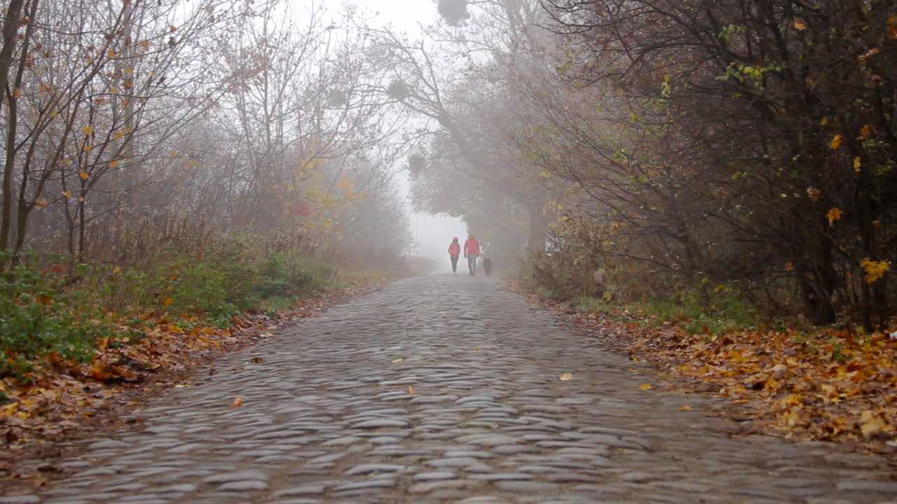 빨간 코트를 입은 부부가 안개 낀 아침에 돌 포장 도로에서 개를 산책하고 있습니다.