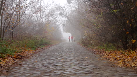 Una-Pareja-Con-Abrigos-Rojos-Está-Paseando-A-Su-Perro-Por-Un-Camino-Pavimentado-De-Piedra-Durante-Una-Mañana-Nublada-Y-Nublada