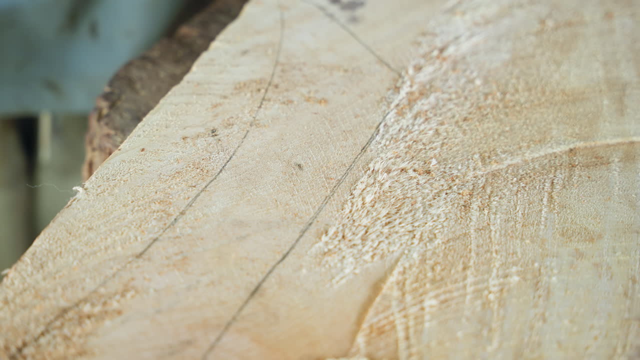 Primo piano di una superficie di legno marcata con segatura, linee guida a matita e taglio curvo visibili, bordo grezzo e trucioli di legno fini, luce calda dell'officina, artigiano che misura la curva per una giunzione precisa e finale.