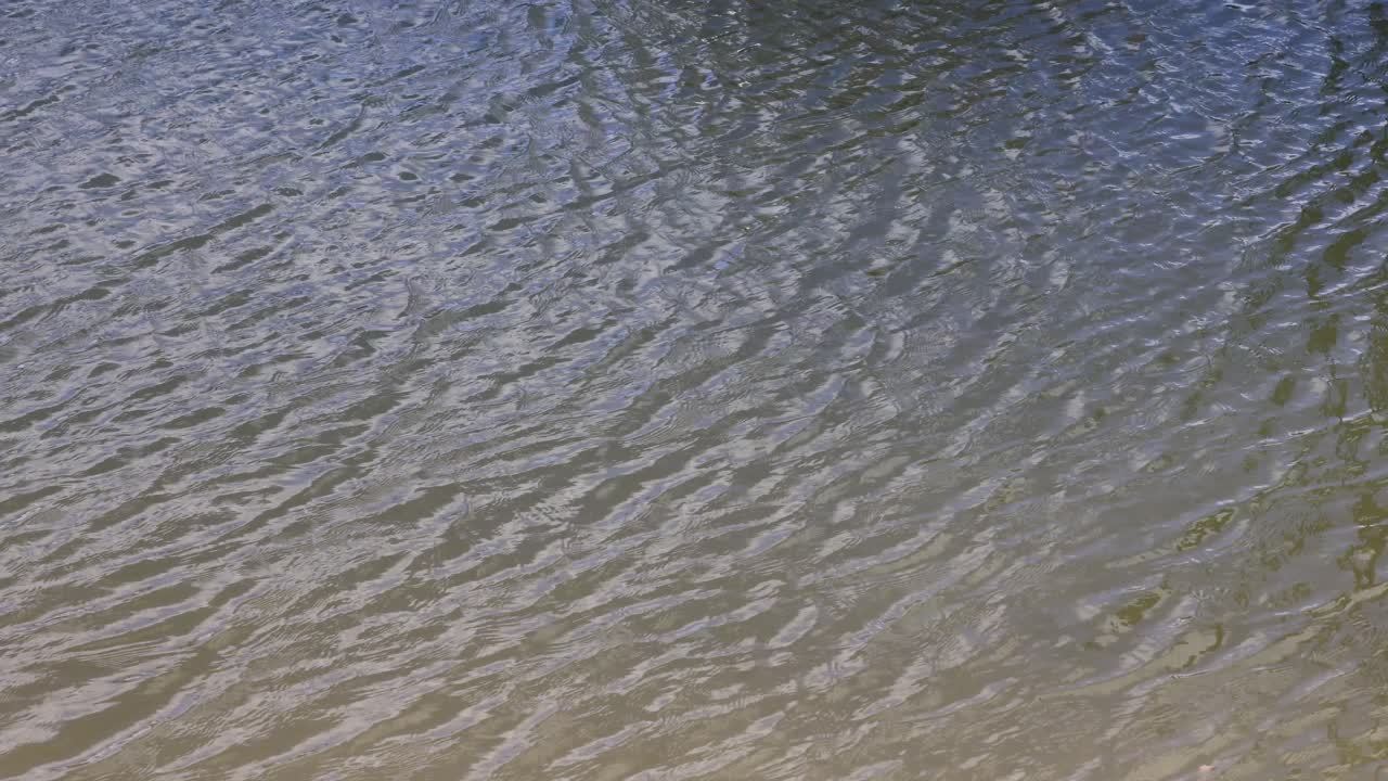 time-lapse dei modelli di luce solare sulla superficie dell'acqua