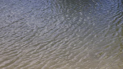 time-lapse of sunlight patterns on water surface