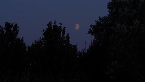 Shots-of-the-moon-including-timelapse-and-slowmotion