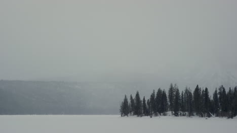 Landscape-view-of-trees-beside-frozen-lake-in-winter-with-snow-blowing