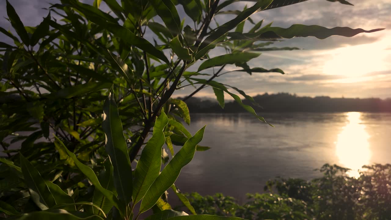 Scenic view of the Mekong River at golden hour sunset in Chiang Khong Thailand with green foliage in the foreground