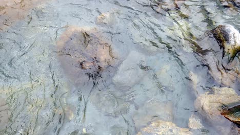 Statischer-Blick-Auf-Klares-Kaltes-Wasser,-Das-In-Den-Bergen-Plätschert