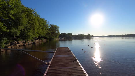 dock alongshore, river view, nature, ducks on water, summer, summertime, landscape, park, panorama