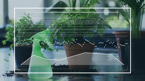 animation of data processing over plants in pots in row at home