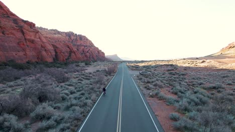 aerial backward shot of cyclist with bike riding on empty road surroundend by in snow canyon state park,utah