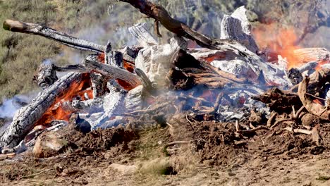 Große-Holzhaufen-Unter-Kontrolle-Von-Brand-Und-Feuer