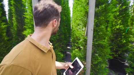 The-florist-man-walks-among-the-pine-trees.