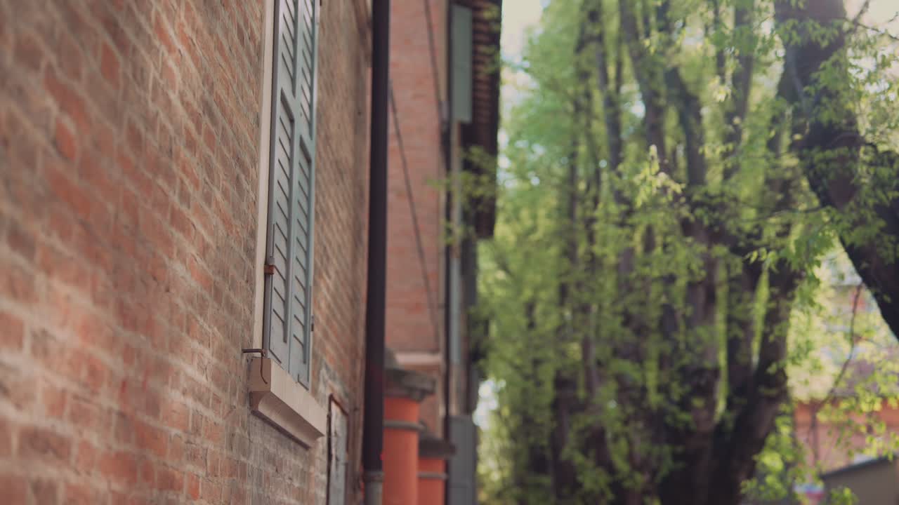 Old European City Street with Trees