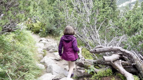 Tracking-shot-of-a-girl-hiking-on-a-pathway-with-junipers-in-the-Retezat-Mountains-Romania