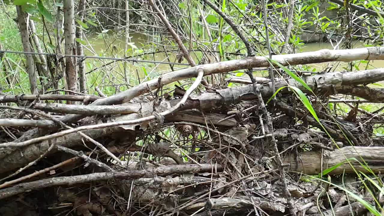 camelroc 게스트 농장의 등산로 옆에 철조망 울타리가 있는 레소토 국경 근처의 작은 칼레돈 강