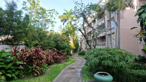 a peaceful stroll in lush green surroundings