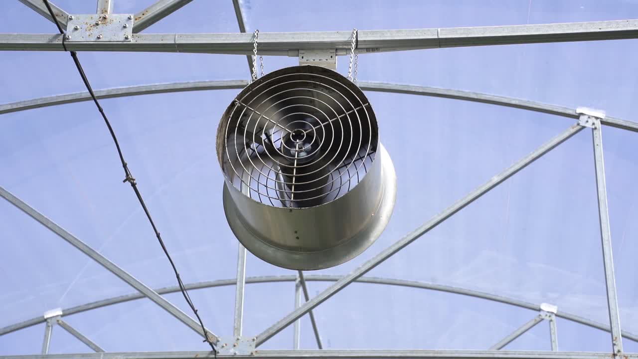 과일 농장의 공기 - 낮은 각도