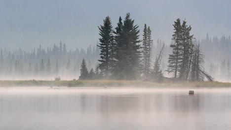 Abendnebel-Auf-Dem-See-Im-Kananaskis-Land,-Kanadische-Rocky-Mountains