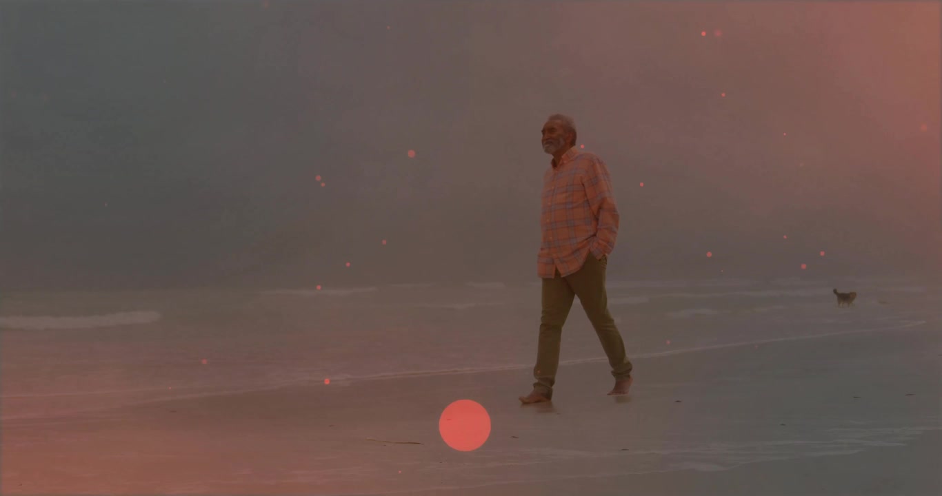 Senior man stepping onto wet sand at dusk, initiating health walk with dog trailing, waves lapping