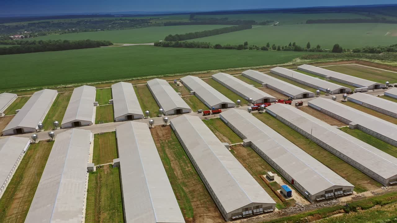 Industrial poultry farm. Agriculture industry in countryside from above